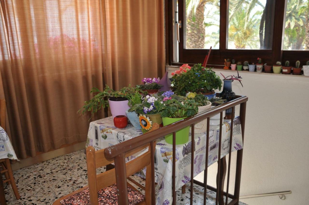 Delfina Apartment